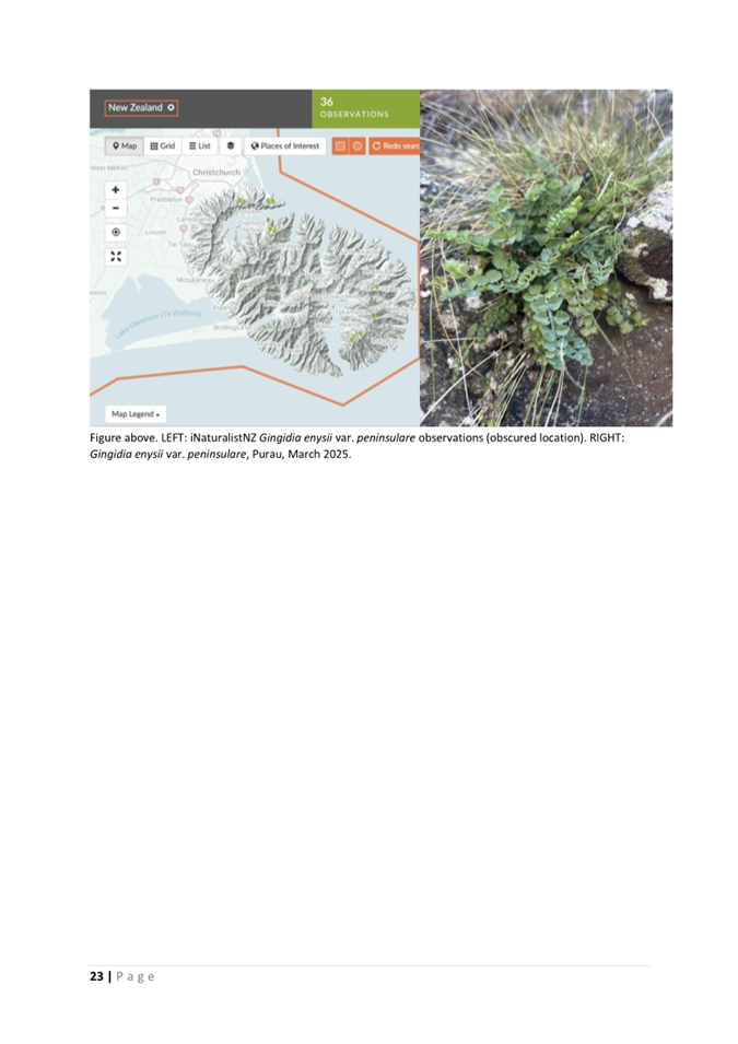 A close-up of a map

AI-generated content may be incorrect.