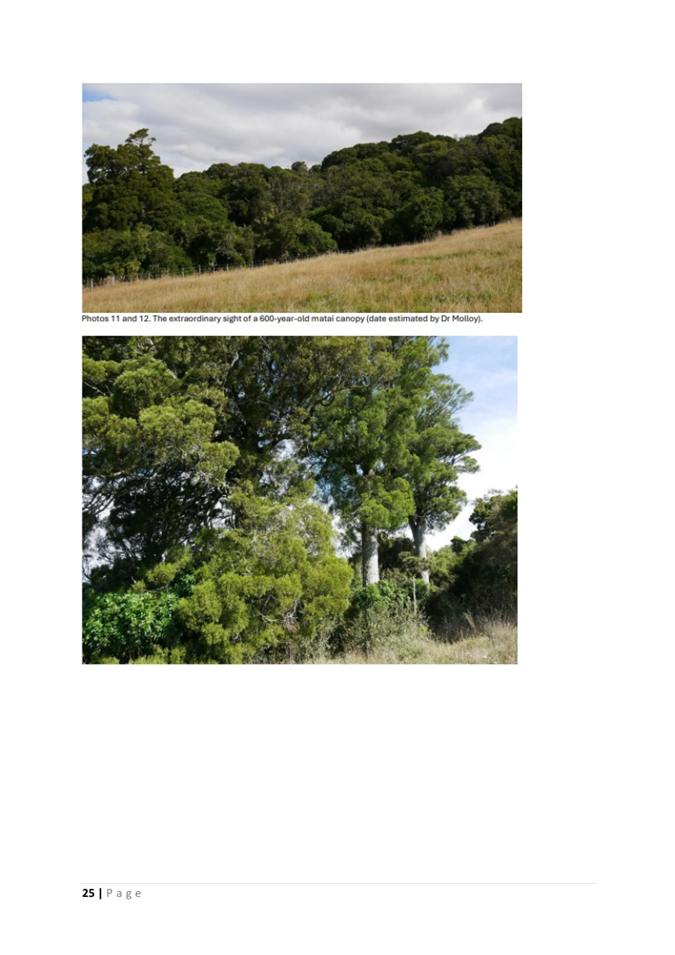 A screenshot of a screenshot of a landscape

AI-generated content may be incorrect.
