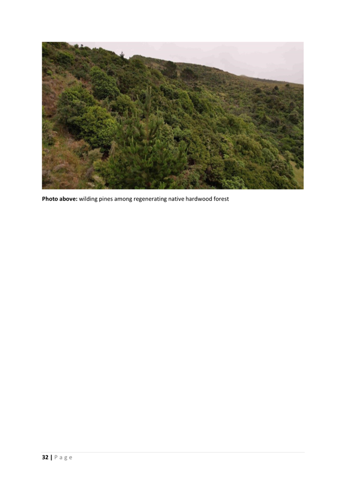 A green hill with trees

AI-generated content may be incorrect.