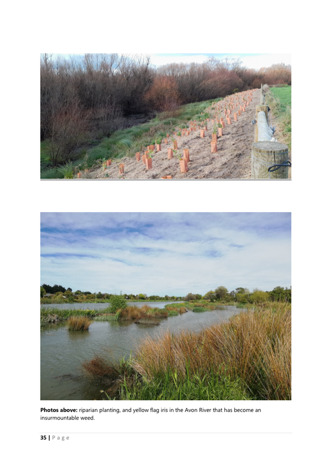 A collage of a river and a field

AI-generated content may be incorrect.