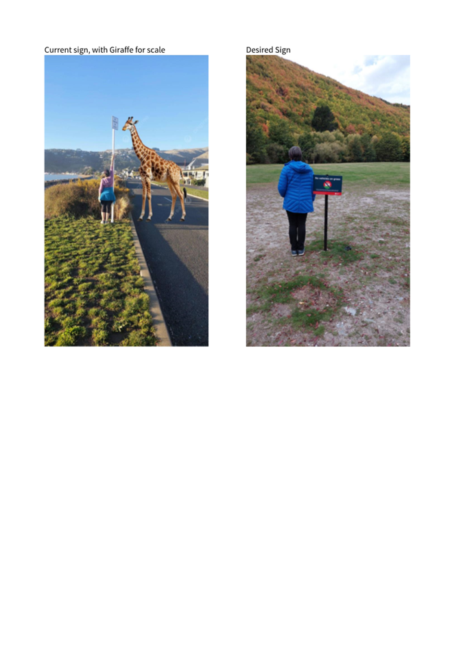 A collage of a person and a giraffe

AI-generated content may be incorrect.