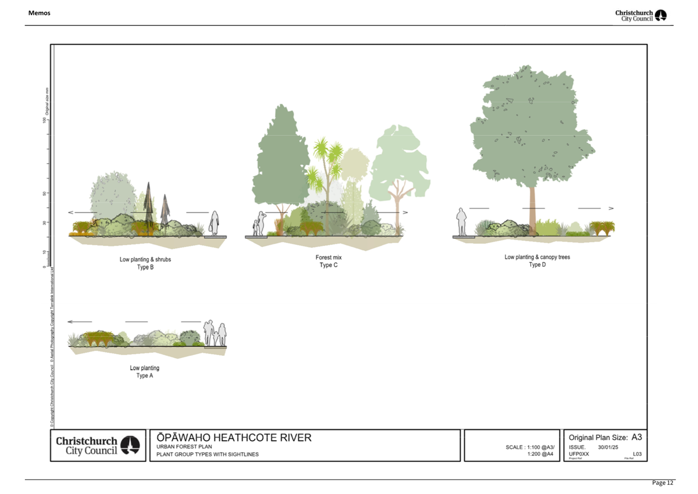 A diagram of a landscape design

AI-generated content may be incorrect.