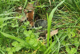 A metal cup in the grass

AI-generated content may be incorrect.