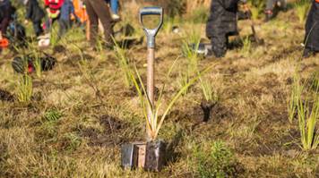 A shovel in a field with volunteers planting in the background.