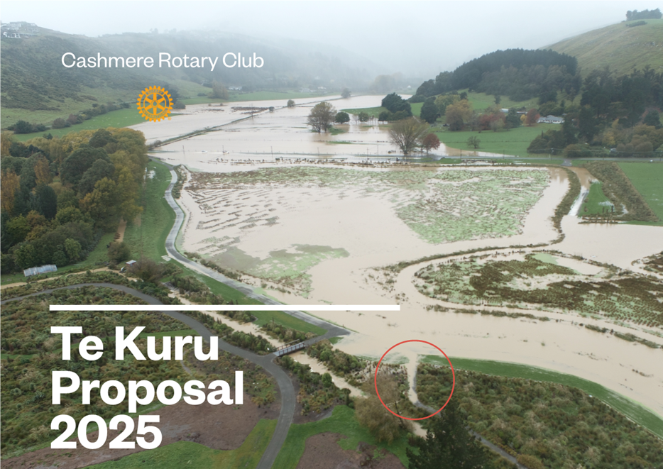 A flooded area with trees and grass

AI-generated content may be incorrect.