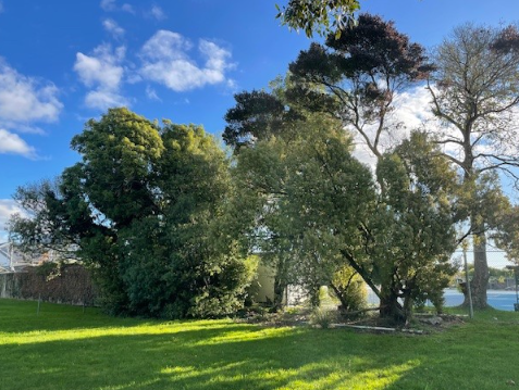 A grassy area with trees and a body of water

AI-generated content may be incorrect.