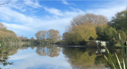 A body of water with trees and a house on the side

AI-generated content may be incorrect.