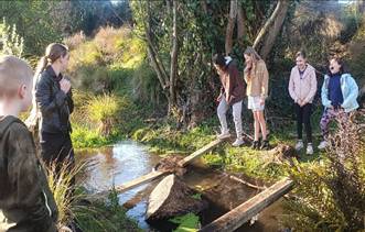 A group of people sitting on a tree branch

AI-generated content may be incorrect.