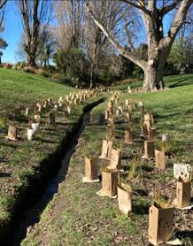 A small stream in a grassy area with small bags of plants

AI-generated content may be incorrect.