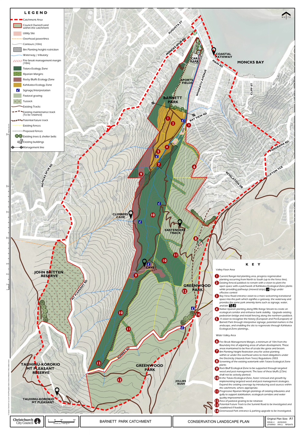 A map of a forest

AI-generated content may be incorrect.