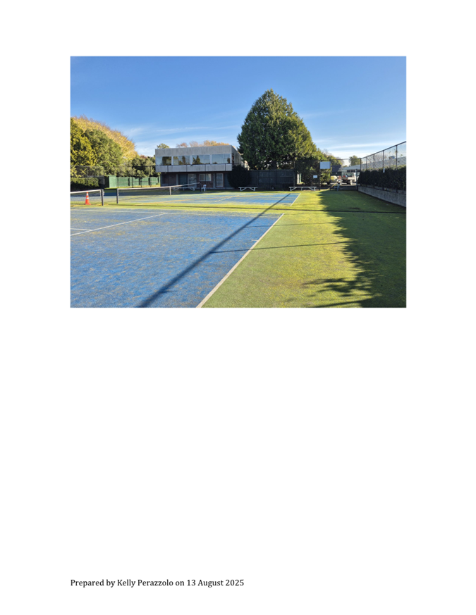 A tennis court with a tree in the background

AI-generated content may be incorrect.