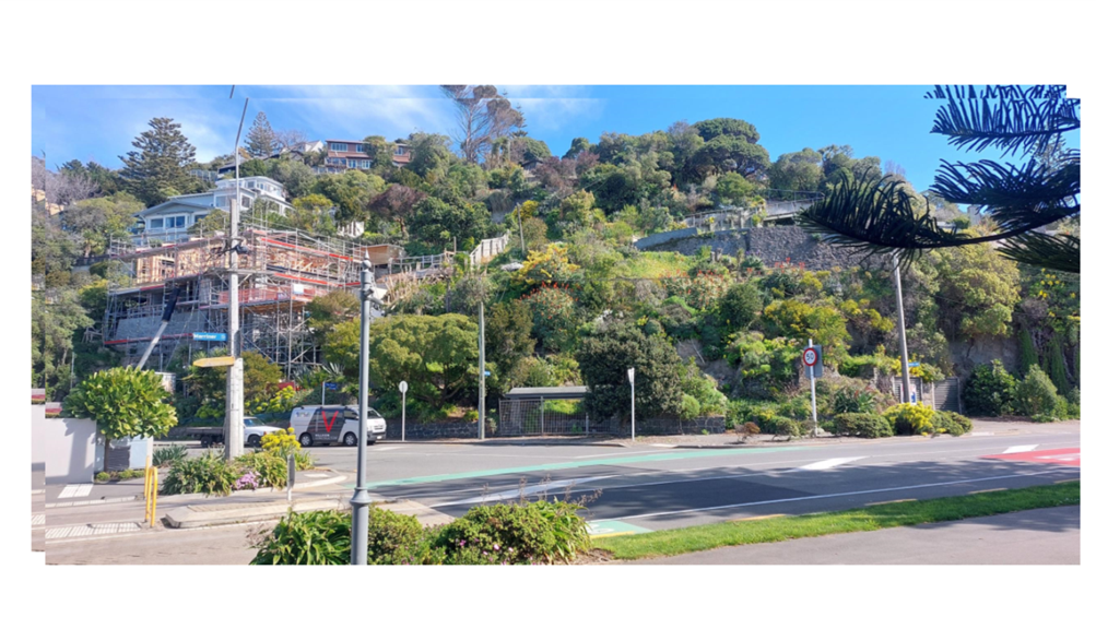 A road with trees and buildings on the side

AI-generated content may be incorrect.