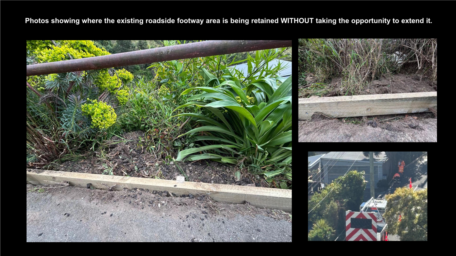 A close-up of plants

AI-generated content may be incorrect.