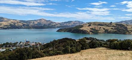 Stanley Park Loop, Canterbury, New Zealand - 33 Reviews, Map | AllTrails