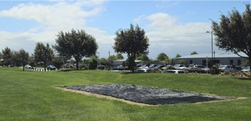 An image of a grassy area with trees and a parking lot at Te kau Park