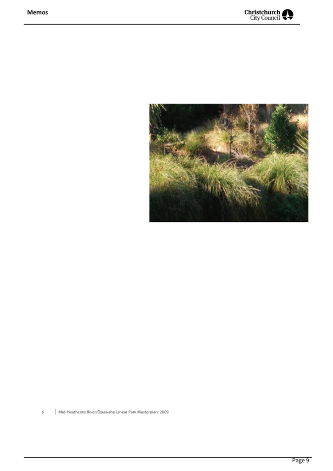 A close-up of a grassy area

AI-generated content may be incorrect.