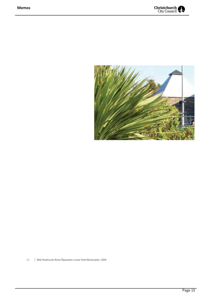 A close-up of a palm tree

AI-generated content may be incorrect.