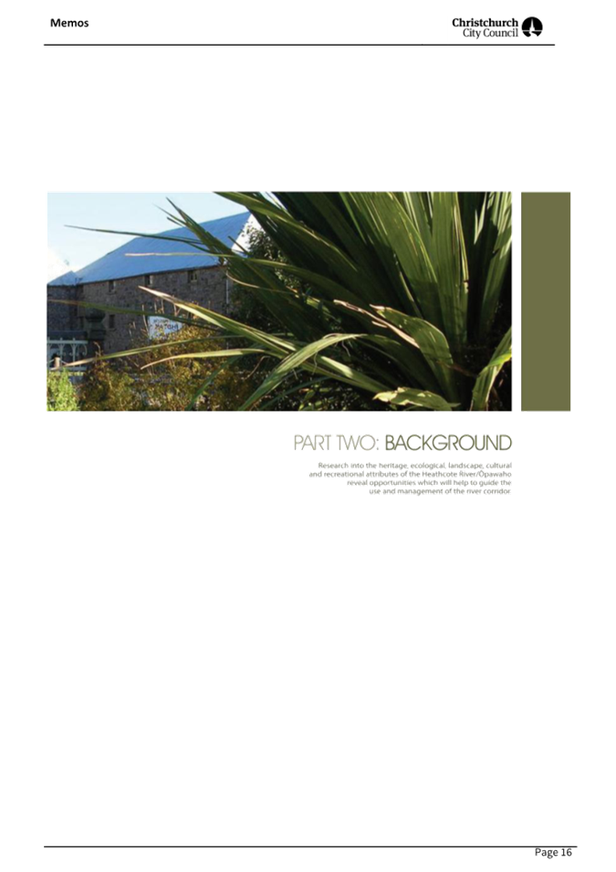 A close-up of a plant

AI-generated content may be incorrect.