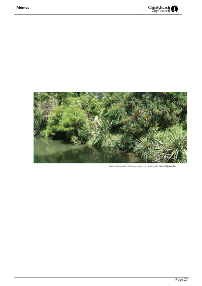 A stream with trees and bushes

AI-generated content may be incorrect.