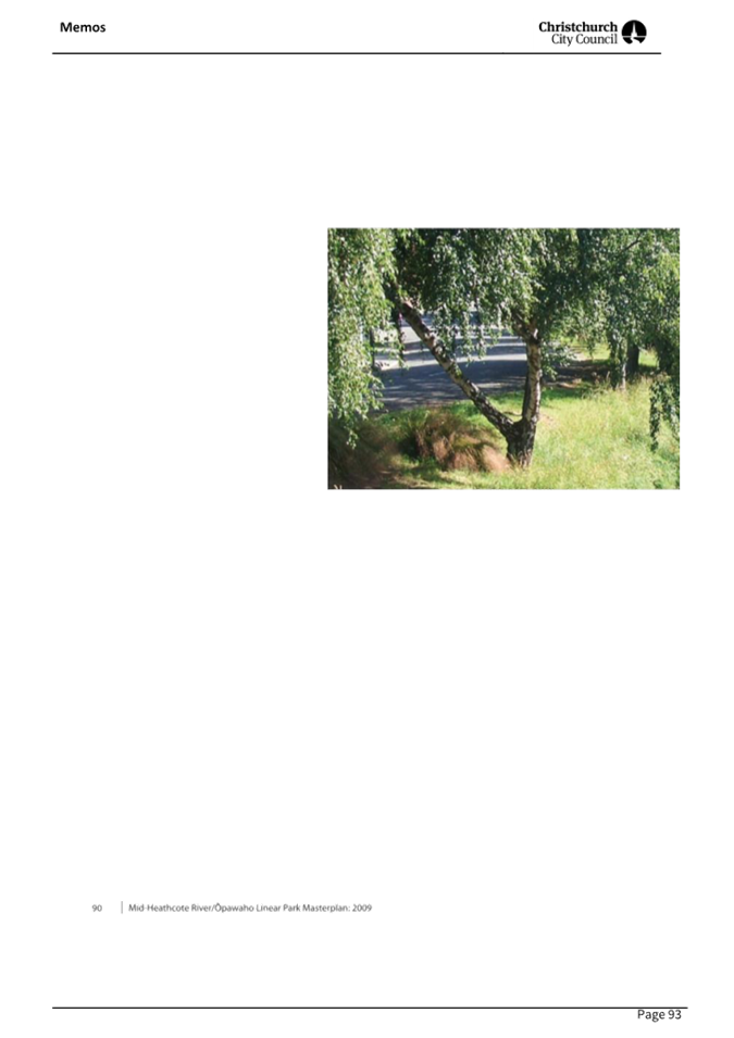 A tree in the grass

AI-generated content may be incorrect.